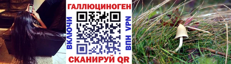 цена наркотик  Кондопога  Галлюциногенные грибы Magic Shrooms 