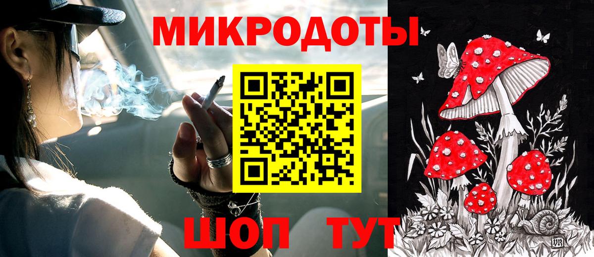 Псилоцибиновые грибы прущие грибы Кондопога