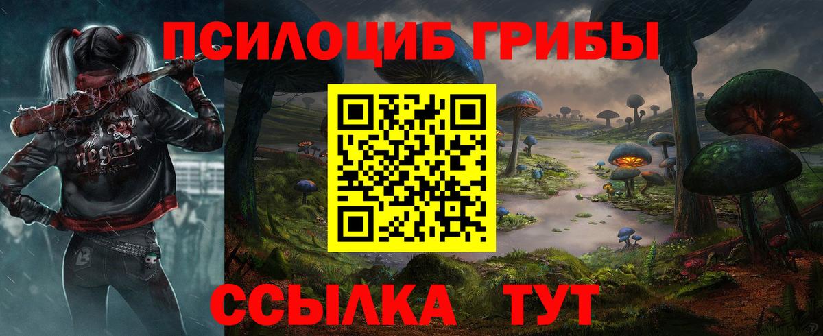 Галлюциногенные грибы Psilocybe  Псилоцибиновые грибы мицелий  закладки  Вход с VPN  Кондопога 